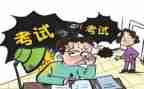 初级教师个人总结6篇