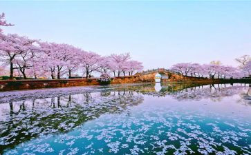 校园春景小作文8篇