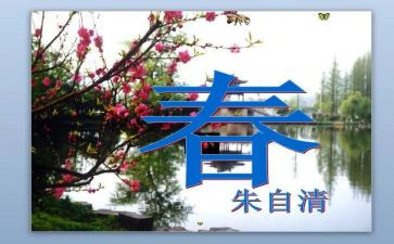 春节活动方案春节活动方案优质6篇