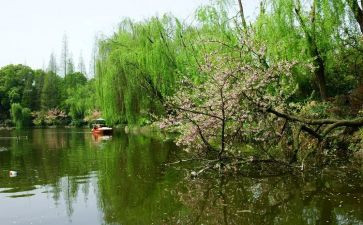 春节活动方案春节活动方案优秀5篇