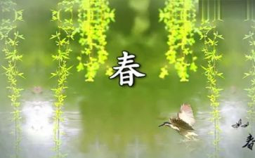 演讲稿青春800字7篇