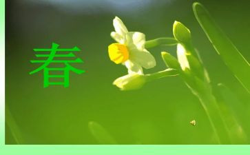 春听课心得体会5篇