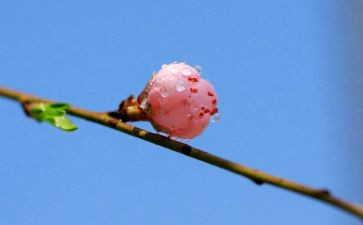 青春期性健康教育心得体会6篇