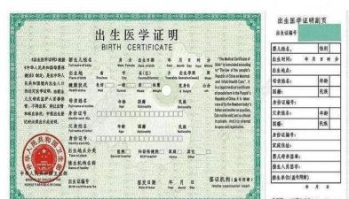 补办出生证明申请书5篇