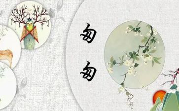 访匆匆作文推荐7篇