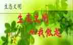 环保从我做起作文6篇