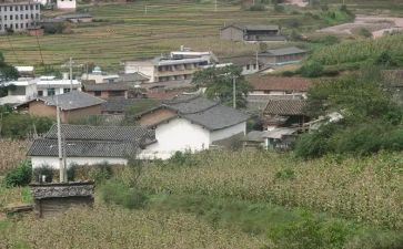 关于村培训心得体会5篇