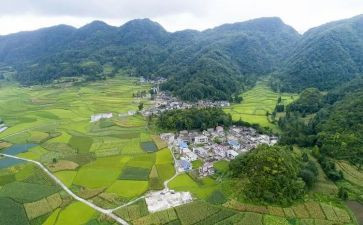 农村小学现状调研报告5篇