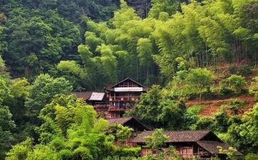 2024年村会计的述职报告模板6篇