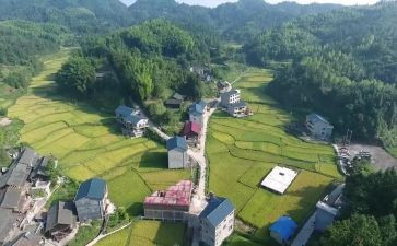 农村环境整治工作总结范文5篇