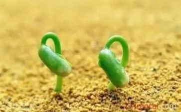 挫折类优秀作文参考6篇