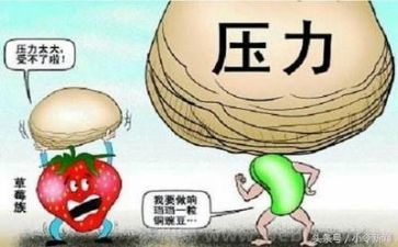 挫折类的作文600字模板7篇