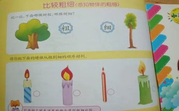 比较粗细中班教案8篇