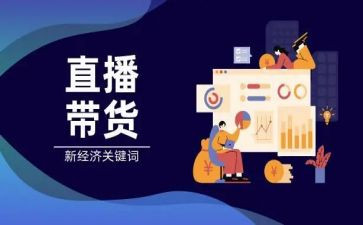带货工作总结6篇
