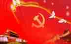 2024年党年度总结参考7篇