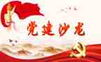 党组织书记抓党建工作报告7篇