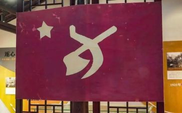 党员学100问心得体会推荐8篇