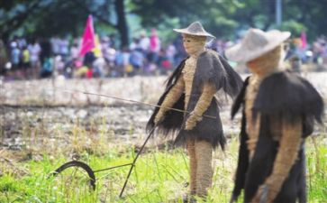 稻草稻草人读后感模板7篇
