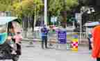 到岗计划方案模板推荐5篇