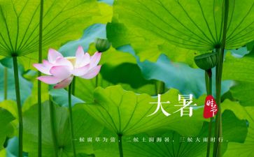 写大暑的作文通用7篇