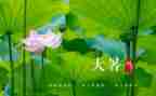 写大暑的作文通用7篇