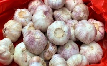 拨大蒜的作文400字5篇