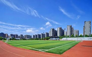 大学培训心得体会最新6篇