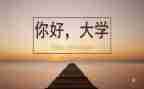 大学写工作总结通用8篇