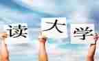 大一的年度总结通用8篇