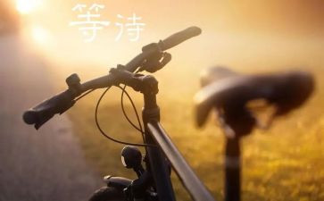 我在等待花开作文6篇