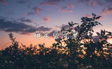 得与失作文800字高中作文6篇
