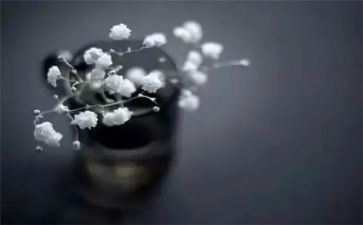 期中考试的得与失作文400字6篇