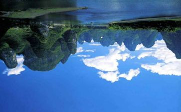 语言课颠倒歌教案8篇