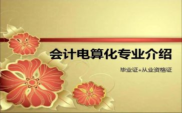电算化实训心得体会7篇