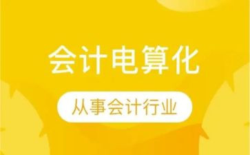 电算化会计心得体会8篇