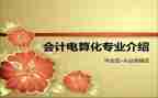 电算化实训心得体会7篇