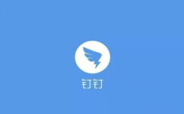 钉钉的心得体会5篇
