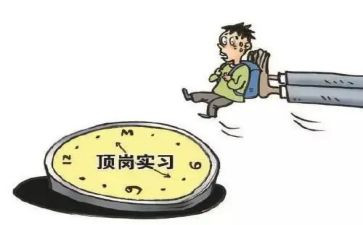 资料员顶岗实习总结5篇