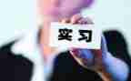 大学毕业顶岗实习心得体会6篇