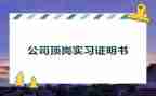 顶岗师范实习教师总结6篇