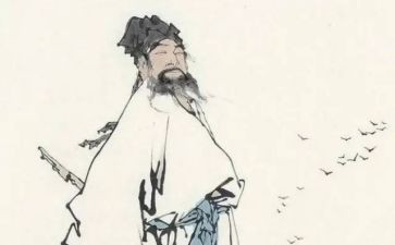 学苏东坡的读后感通用6篇