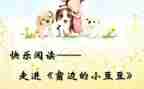 拼豆豆作文8篇