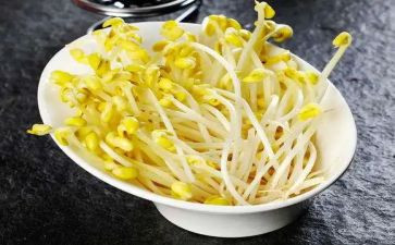 发豆芽的作文400字5篇