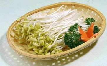 发豆芽记作文优质7篇