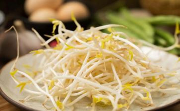 发豆芽记作文参考7篇