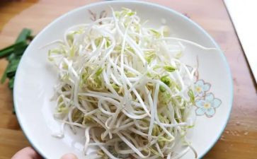 发豆芽的小作文5篇