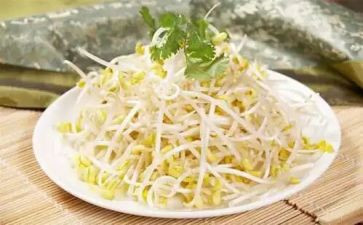 豆芽生长记作文5篇