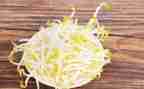 炒豆芽作文400字5篇