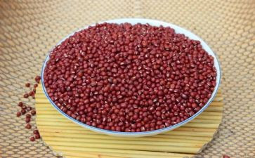 摆豆子教案6篇