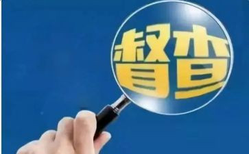 环保督查工作工作总结7篇
